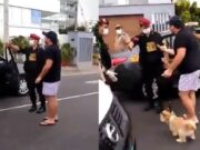 Cuarentena en Perú: una mujer exige que liberen a su mascota, pero no a su esposo